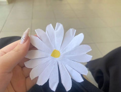 "Моя семья - моё богатство" - девиз второй летней смены 2025 года