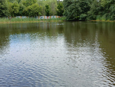 Моя малая родина - ДОЛ имени Лизы Чайкиной