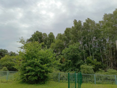 Моя малая родина - ДОЛ имени Лизы Чайкиной