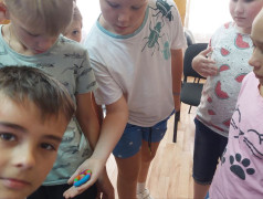 В путь к удивительной девчонке &mdash; Иммунеле!