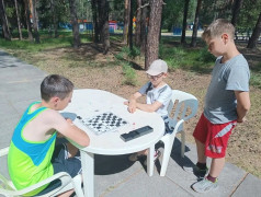 Черные или белые? Кто же победит?