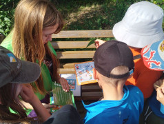 Итоговая станционная игра "Супер сила Квадронавты"