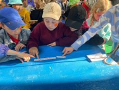 Большой КВН-праздник здоровья!