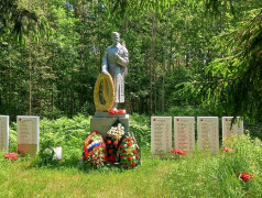 Памятники окрестностей деревни Опухлики.
