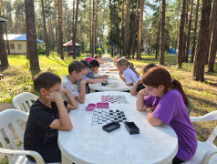 Кто кого? Турнир по шашкам и настольному теннису в ДОЛ "Яльчик"