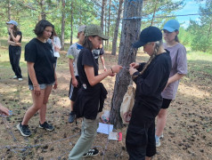 Железнодорожный вызов" в ДОЛ им. Павлика Морозова &ndash; это было круто! 