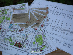 &laquo;Железнодорожный вызов&raquo;, ДОЛ &laquo;Экспресс&raquo;