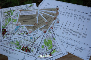 «Железнодорожный вызов», ДОЛ «Экспресс»