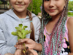 Настоящее волшебство: Открывая мир заново вдали от гаджетов  