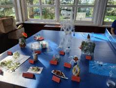 &laquo;Зеленый мир &ndash; наш добрый дом&raquo;