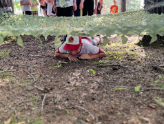 ЖД Вызов - Да! 