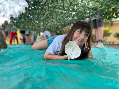 Железнодорожный вызов в ДОЛ "Локомотив"