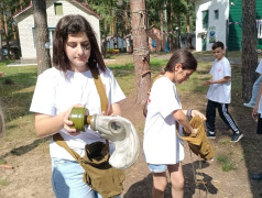 ВОЕННО-СПОРТИВНАЯ ИГРА &laquo;ЗАРНИЦА&raquo;