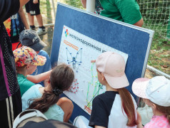 Железнодорожная игротека